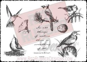 All Things Of Nature Unmounted Rubber Stamps from Red Rubber Designs