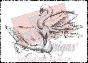 Swans Unmounted Rubber Stamp from Red Rubber Designs